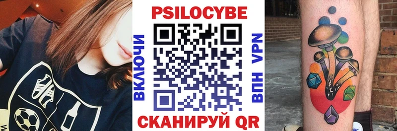kraken зеркало Краснозаводск Галлюциногенные грибы мицелий