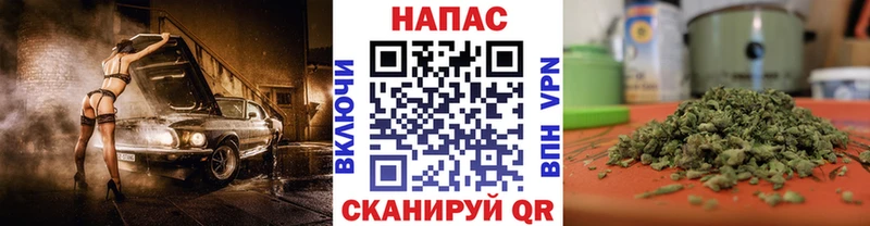 Канабис сатива  закладки  Краснозаводск 